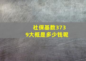 社保基数3739大概是多少钱呢