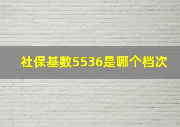 社保基数5536是哪个档次