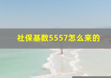 社保基数5557怎么来的