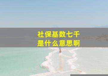 社保基数七千是什么意思啊