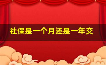 社保是一个月还是一年交