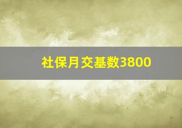 社保月交基数3800