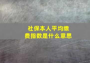 社保本人平均缴费指数是什么意思