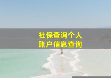 社保查询个人账户信息查询