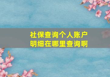 社保查询个人账户明细在哪里查询啊