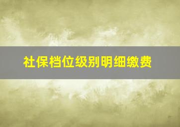 社保档位级别明细缴费