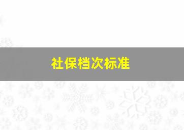 社保档次标准