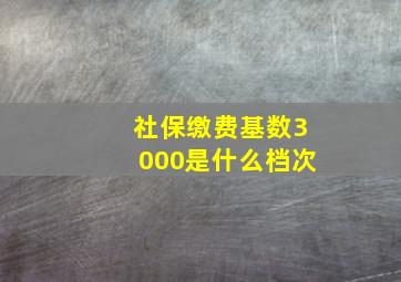 社保缴费基数3000是什么档次