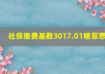 社保缴费基数3017.01啥意思