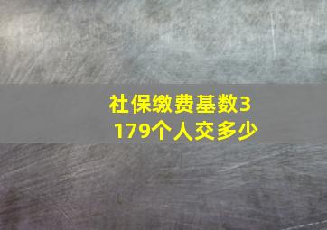 社保缴费基数3179个人交多少