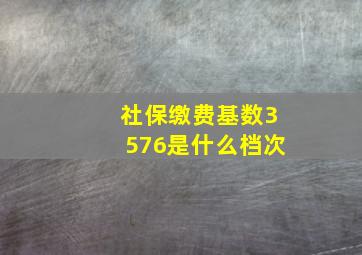 社保缴费基数3576是什么档次