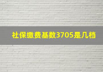 社保缴费基数3705是几档