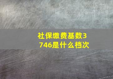 社保缴费基数3746是什么档次