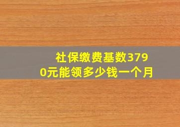 社保缴费基数3790元能领多少钱一个月