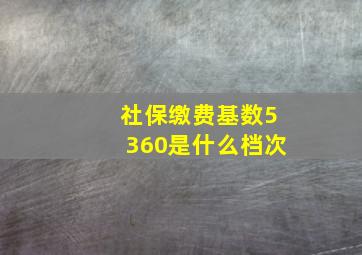 社保缴费基数5360是什么档次