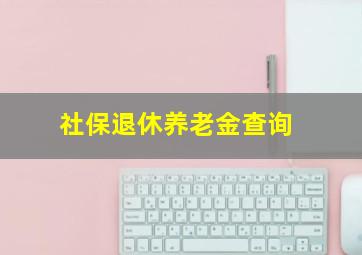 社保退休养老金查询