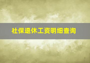 社保退休工资明细查询