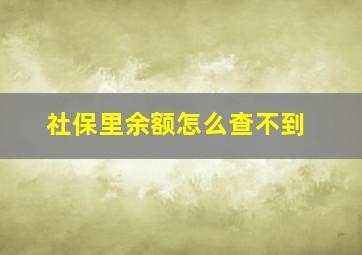 社保里余额怎么查不到