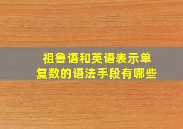 祖鲁语和英语表示单复数的语法手段有哪些