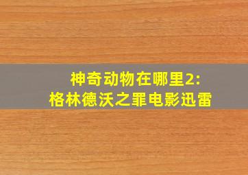 神奇动物在哪里2:格林德沃之罪电影迅雷