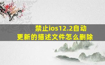 禁止ios12.2自动更新的描述文件怎么删除