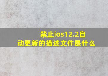 禁止ios12.2自动更新的描述文件是什么