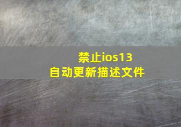 禁止ios13自动更新描述文件