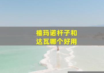 禧玛诺杆子和达瓦哪个好用