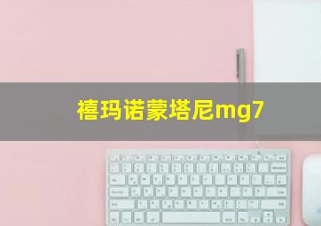 禧玛诺蒙塔尼mg7