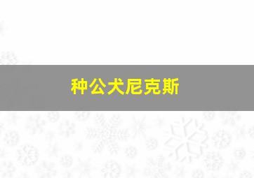 种公犬尼克斯