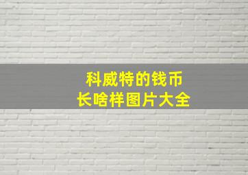 科威特的钱币长啥样图片大全