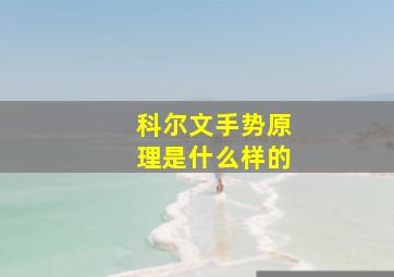 科尔文手势原理是什么样的