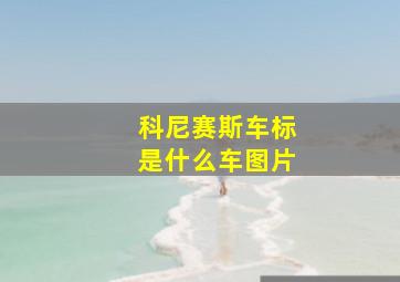 科尼赛斯车标是什么车图片