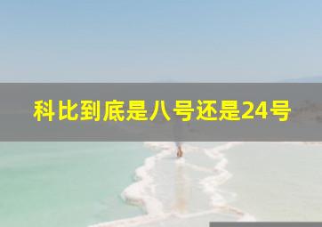 科比到底是八号还是24号