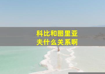 科比和图里亚夫什么关系啊