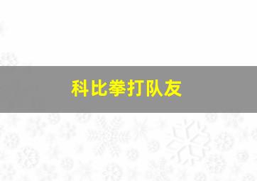 科比拳打队友