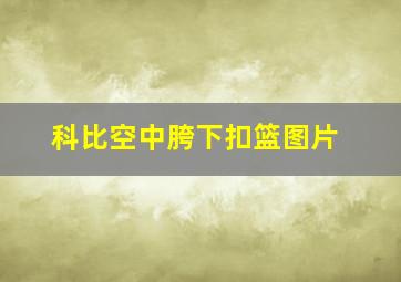 科比空中胯下扣篮图片