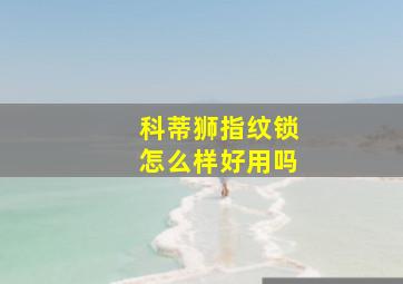 科蒂狮指纹锁怎么样好用吗