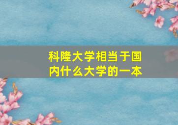 科隆大学相当于国内什么大学的一本