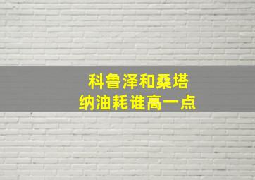 科鲁泽和桑塔纳油耗谁高一点