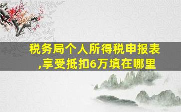 税务局个人所得税申报表,享受抵扣6万填在哪里