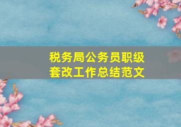 税务局公务员职级套改工作总结范文