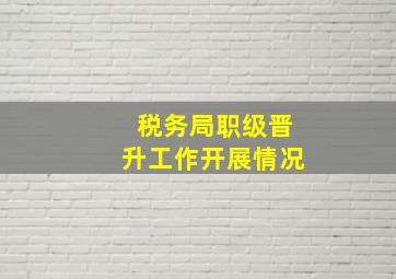 税务局职级晋升工作开展情况