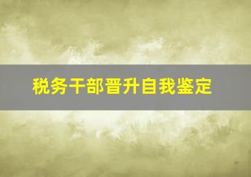 税务干部晋升自我鉴定