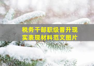 税务干部职级晋升现实表现材料范文图片