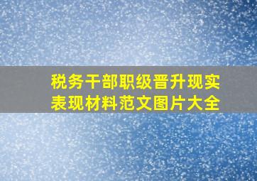 税务干部职级晋升现实表现材料范文图片大全