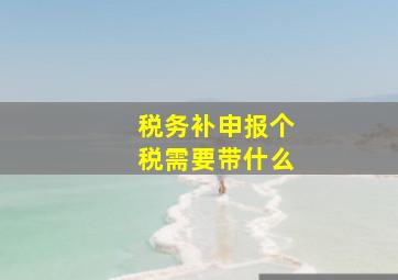 税务补申报个税需要带什么