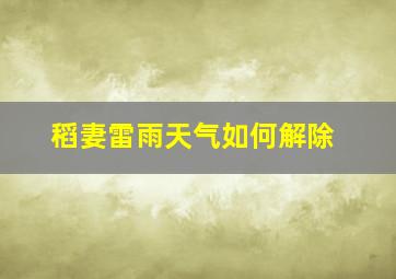 稻妻雷雨天气如何解除