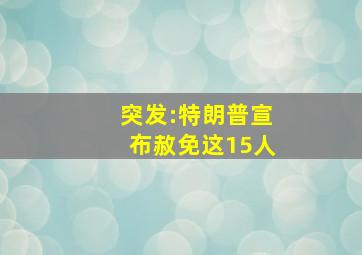 突发:特朗普宣布赦免这15人