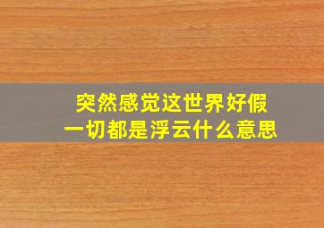 突然感觉这世界好假一切都是浮云什么意思